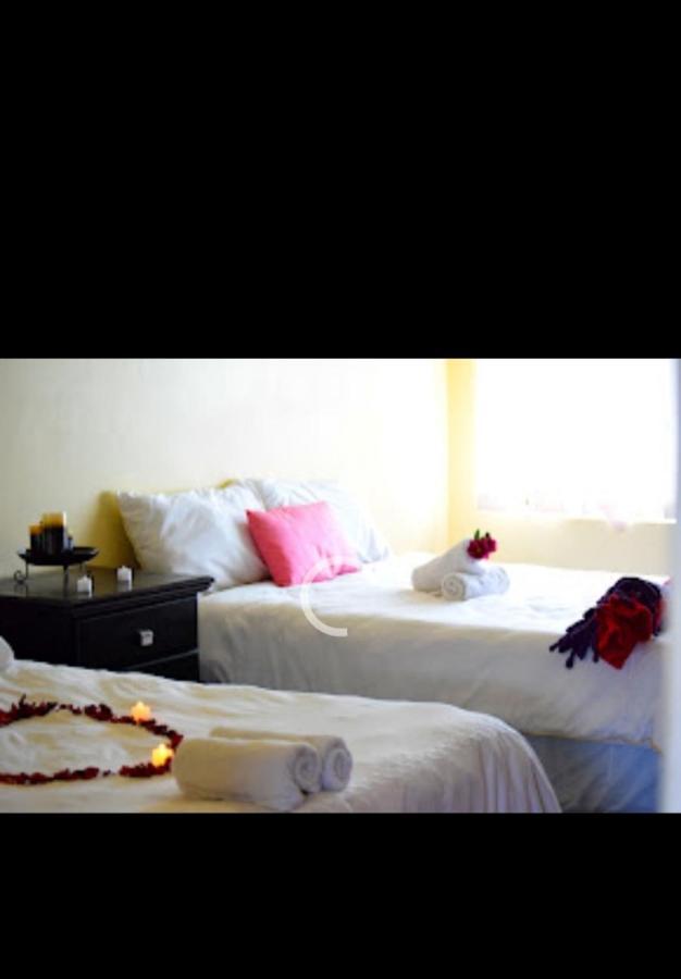 Falcon Lodge Newcastle Ngoại thất bức ảnh