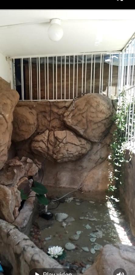 Falcon Lodge Newcastle Ngoại thất bức ảnh