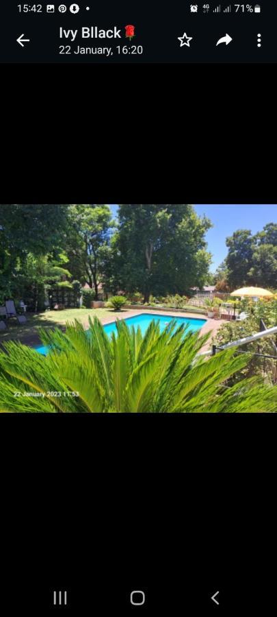 Falcon Lodge Newcastle Ngoại thất bức ảnh