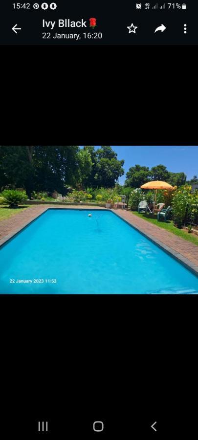 Falcon Lodge Newcastle Ngoại thất bức ảnh